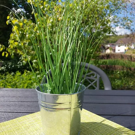 Wellness-gasthof-cafe Nuhnetal Hotel Rengershausen