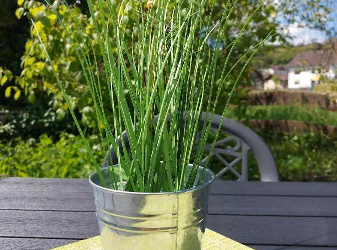 Wellness-gasthof-cafe Nuhnetal Hotel Rengershausen