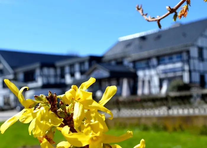 Wellness-gasthof-cafe Nuhnetal Hotel 3*